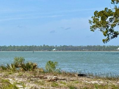 296 Sea Lavender Ln, Port Saint Joe, FL, 32456