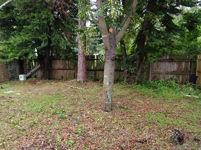 8041 Puffin Dr — Photo 6