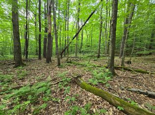 LOT 37 Chandas Way LOT 37, Otego, NY 13825