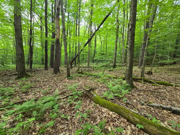 LOT 37 Chandas Way Lot 37, Otego, NY 13825