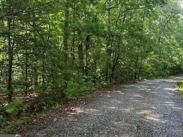 0 Hillbilly Holler, Blue Ridge, GA 30513