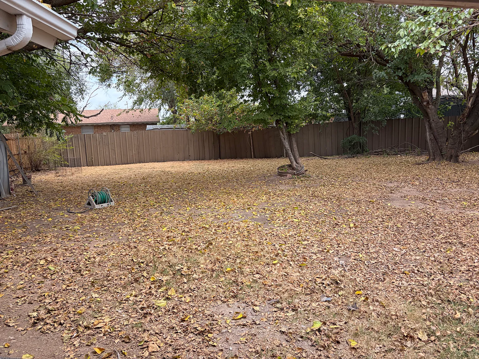 4 bed, 1.5 bath, 1442 sqft, $1,500 — Photo 2