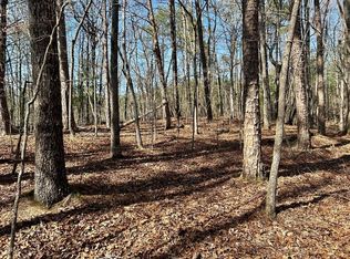 0 Berean Church Rd, Ellijay, GA 30540