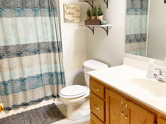 Lower level bathroom