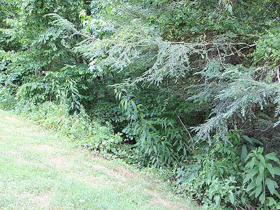 4th image of LOT 83 Smoky Cove Rd Lot 83