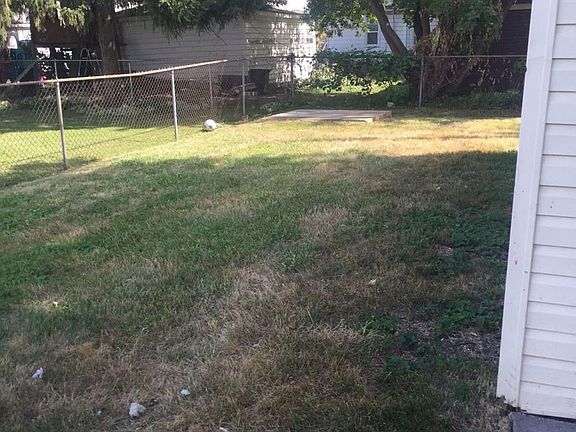 Back Yard 1