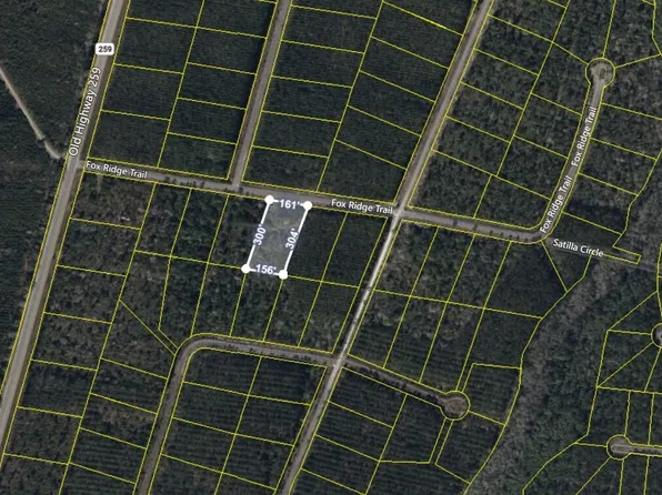 V/l 43 Fox Rdg, Waynesville, GA 31566