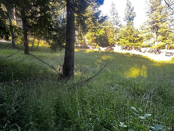 5th image of 26048 Peacock Road