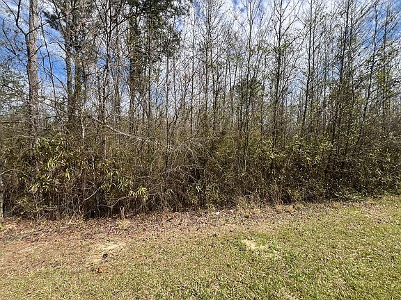 4th image of 0 Marshall Church Road