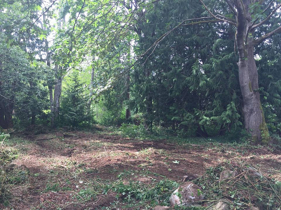 2nd image of Evergreen Way