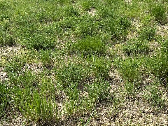 3rd image of 3863 Glenn Edward Rd