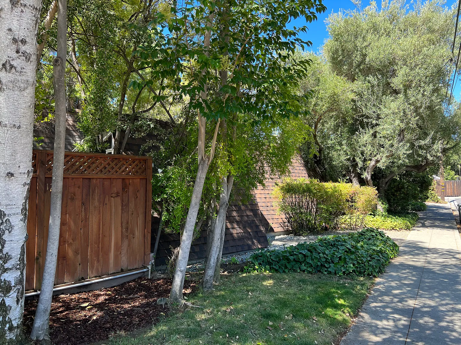 Wheeler Ave, Los Gatos — Photo 3