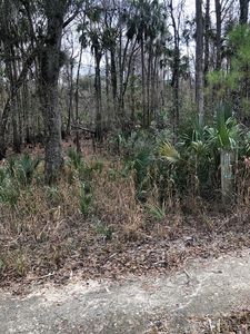  477th Ave, Old Town, FL, 32680