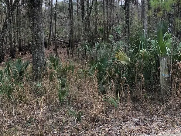  477th Ave, Old Town, FL 32680