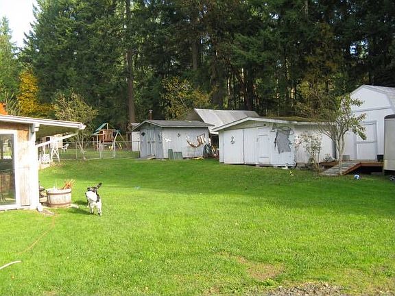 Expansive Back Yard