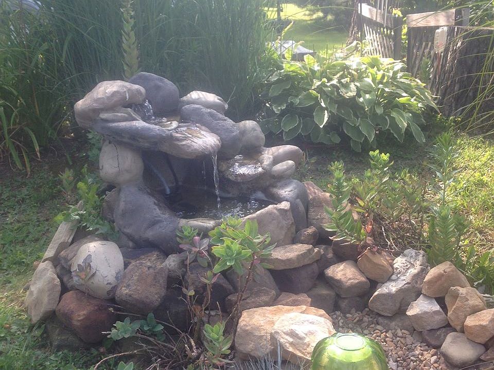 Back yard