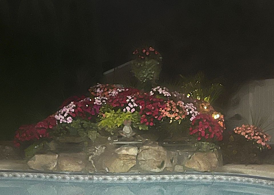 1st image of 409 Rustic Dr
