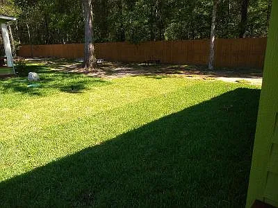 295B Lakeshore Dr — Photo 6