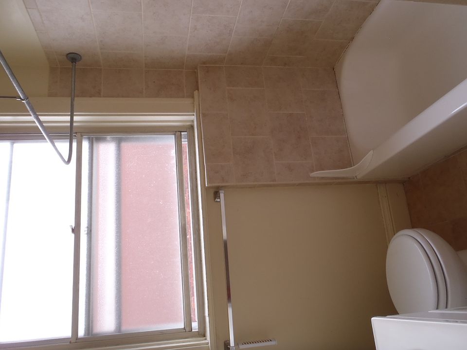1st image of 343 Ludlow Ave APT 7