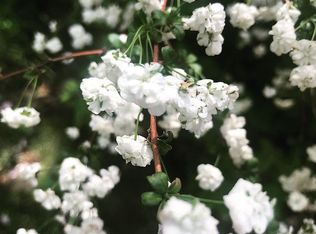 3506 Stewart Rd, District Heights, MD 20747