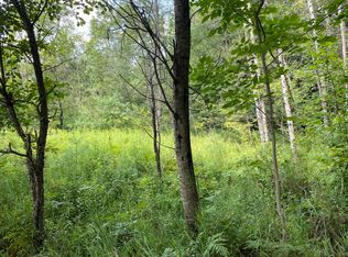 00-11 Mile Rd, Leroy, MI 49655