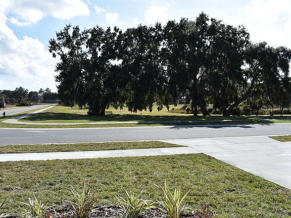 Elevation Image 3.