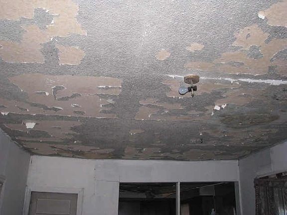 4th image of 612 Hannah St