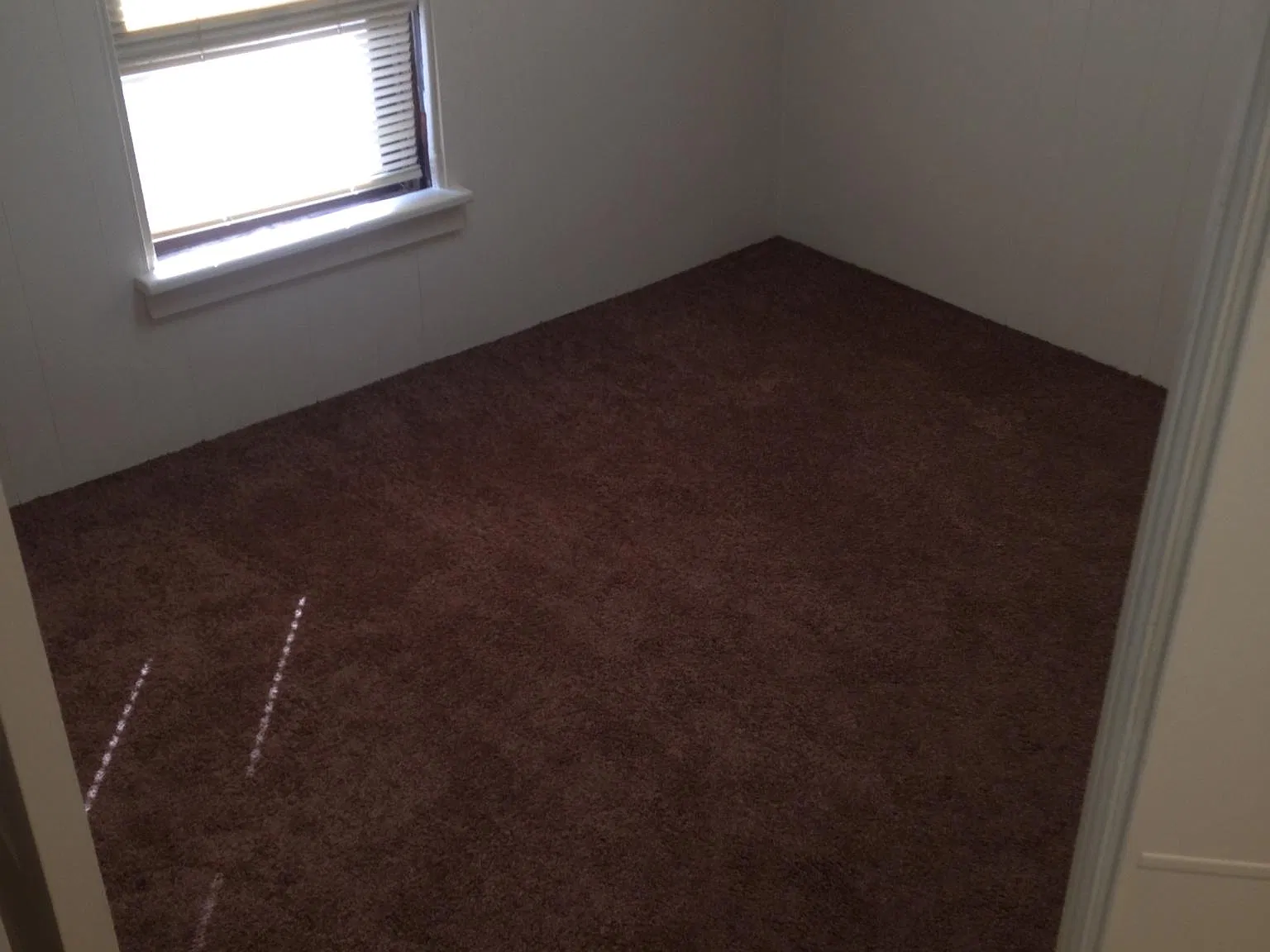 1 bed, 345 sqft, $500 — Photo 2
