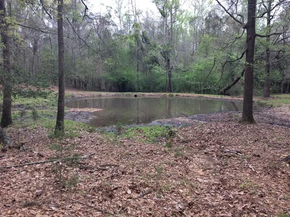 3276 Hickory Grove Rd, Honoraville, AL 36042