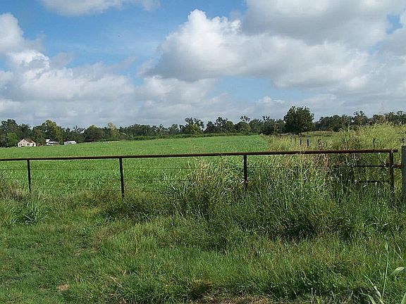 Hay meadow on FM 359