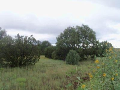 8433 Silver Creek Dr, Show Low, AZ, 85901
