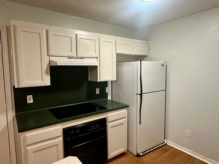 609 W Martin Luther King Blvd #609 — Photo 4