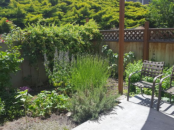 Back patio