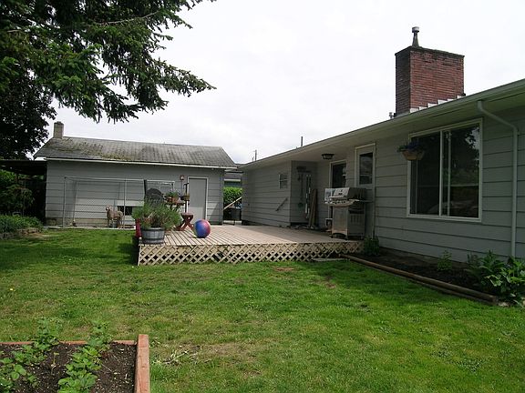 Back yard