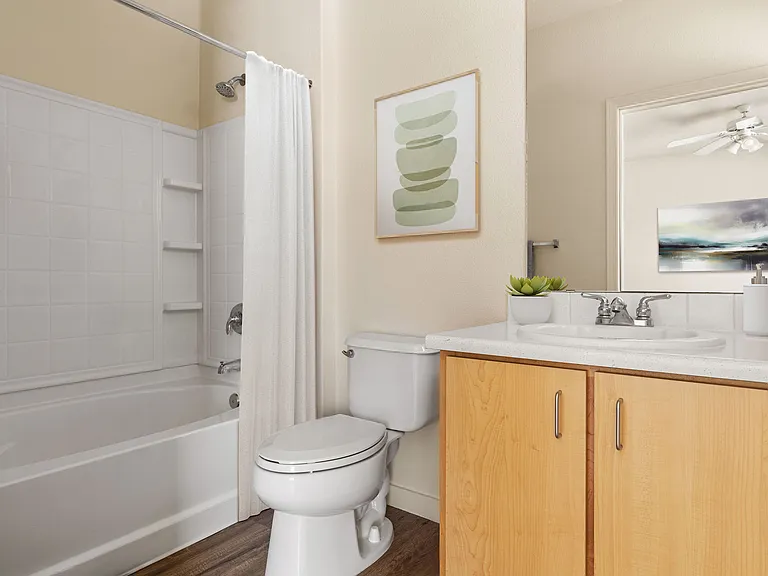 Simple details that make every day feel fresh.