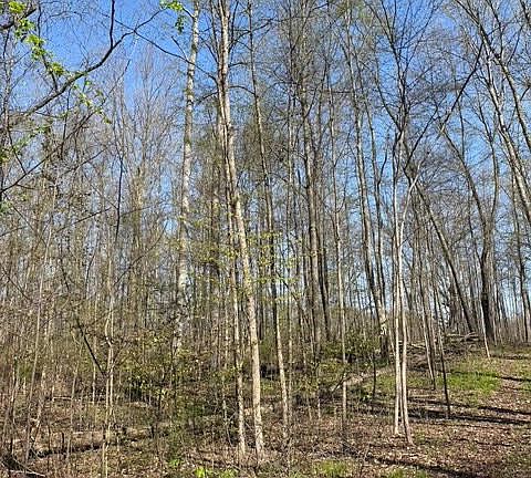 4th image of 27 Mile Rd