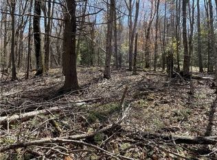 133 Greenbriar Rd, Banner Elk, NC 28604