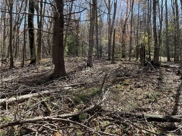 133 Greenbriar Road, Beech Mountain, NC 28604