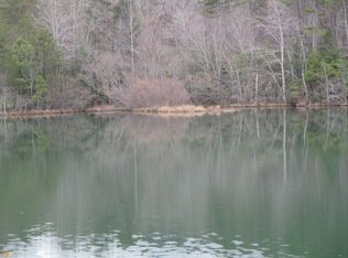 414 Golden Pl, Clarkesville, GA 30523