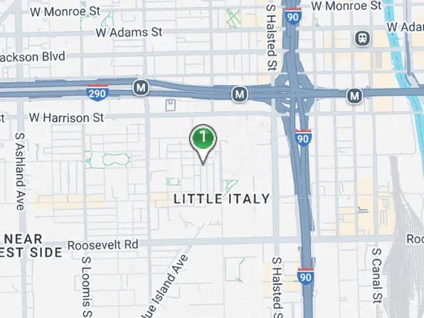 818 S Miller St, Chicago, IL 60607