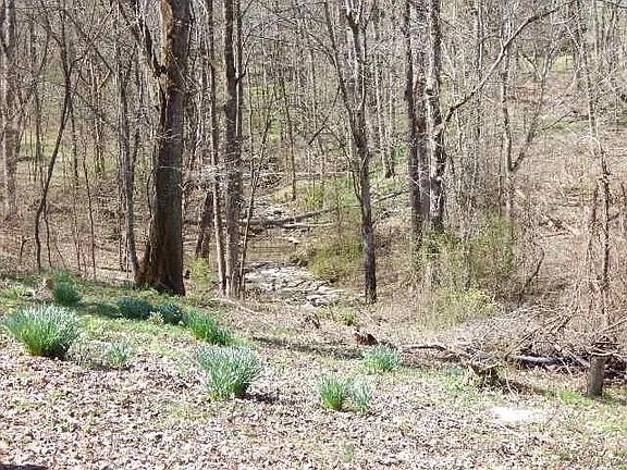 3rd image of 126 Jones Hollow Rd