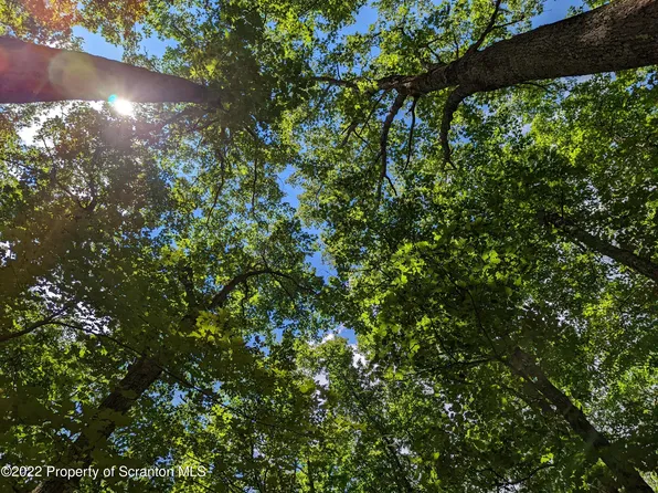 116 Cedar Ct, Hawley, PA 18428