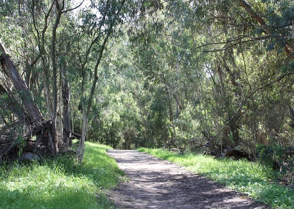 s-Walking_Trails