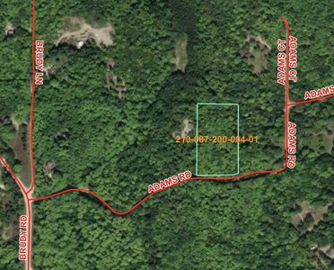 V/l Adams Rd, Wolverine, MI, 49799
