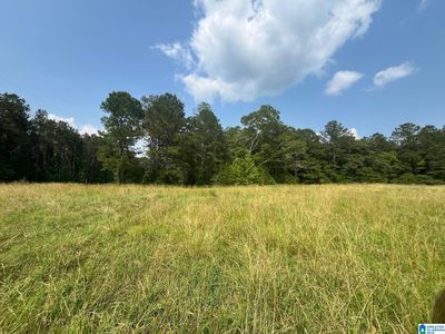 County Road 91 None, Roanoke, AL, 36274