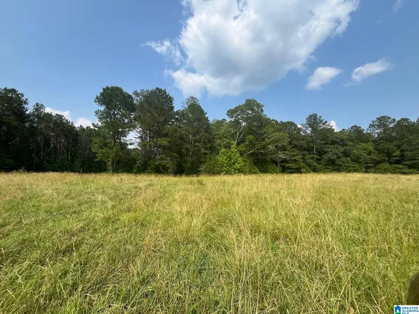 County Road 91 None, Roanoke, AL 36274