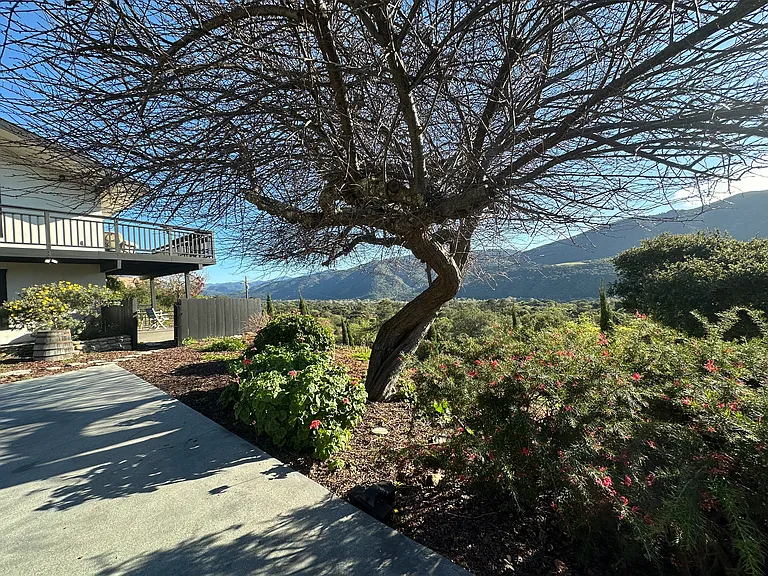 Laureles Grade Rd — Photo 33