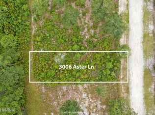 3006 Aster Ln SW, Supply, NC 28462