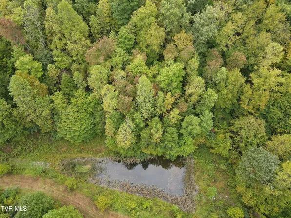 4239 Elys Puckett Rd, Pennington Gap, VA 24277