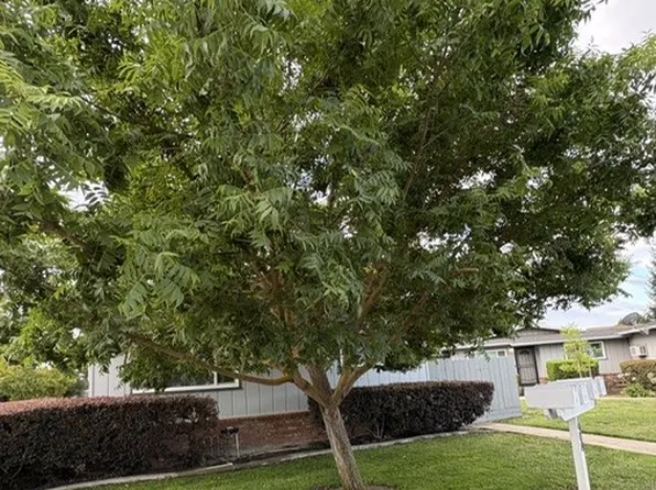 1908 Althoff Ct APT A, Modesto, CA 95355